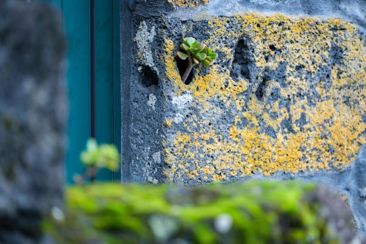 Stone Home Casa Do Caisinho Pico Island Terra Alta Buitenkant foto