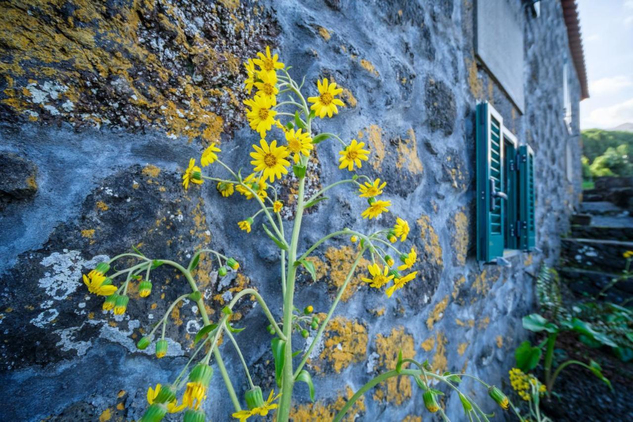 Stone Home Casa Do Caisinho Pico Island Terra Alta Buitenkant foto