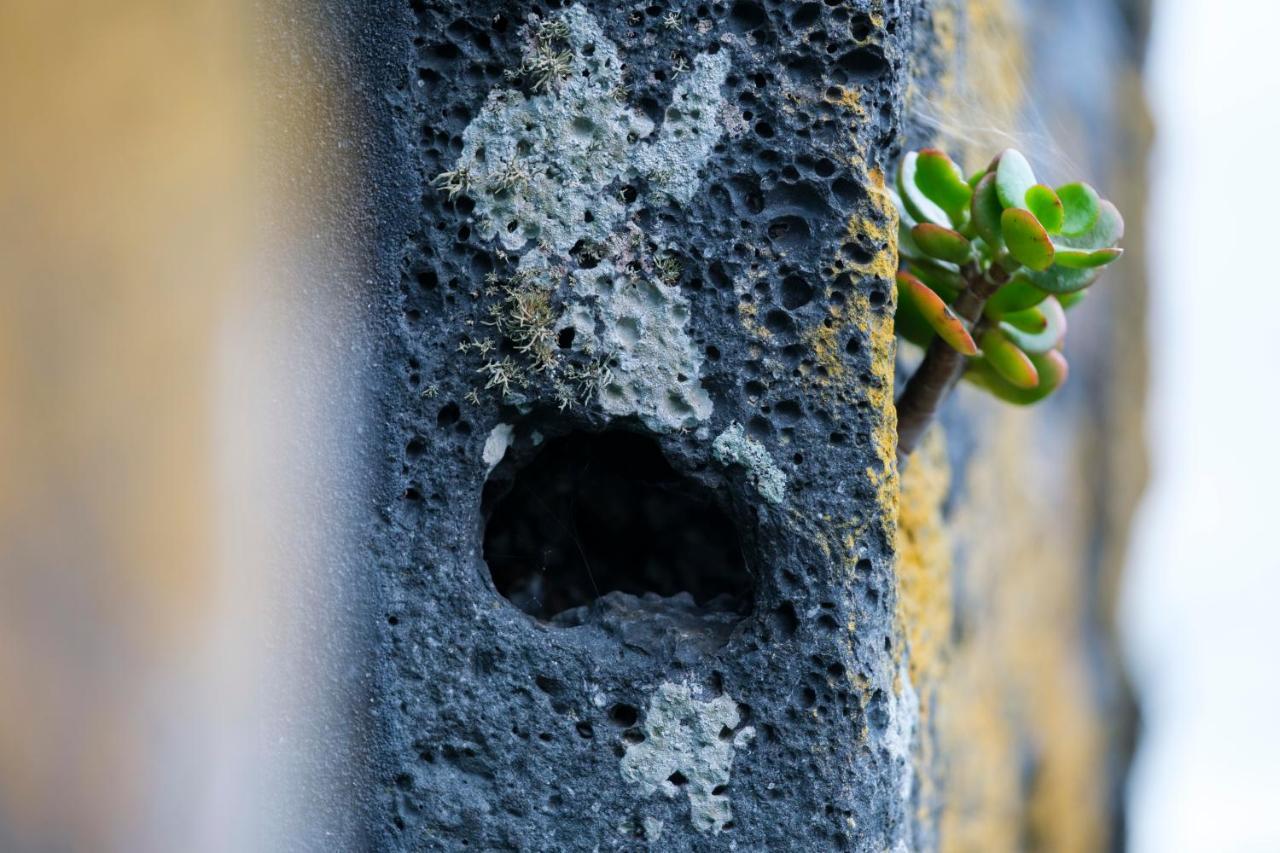 Stone Home Casa Do Caisinho Pico Island Terra Alta Buitenkant foto